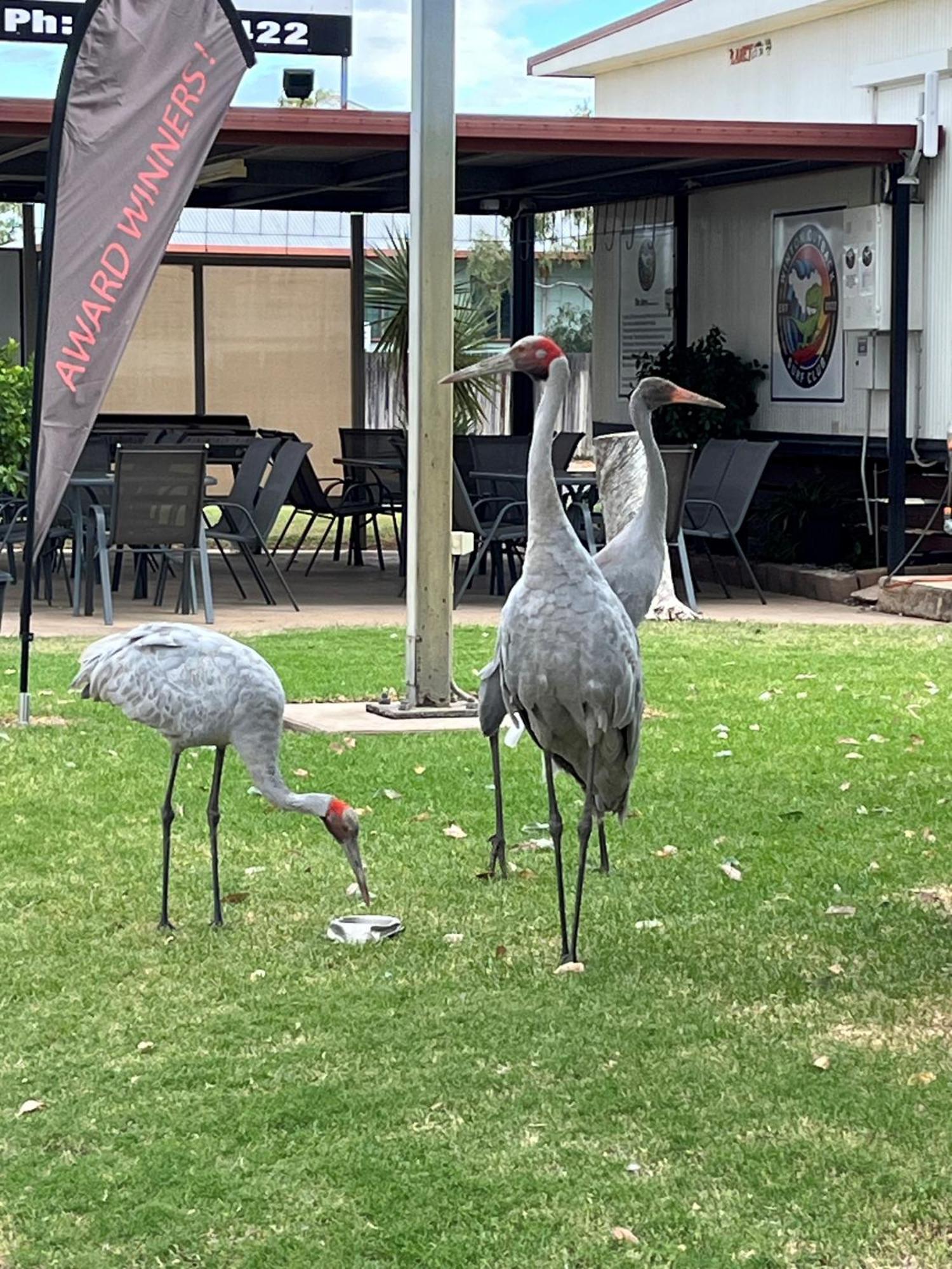 Winton Outback Motel Esterno foto