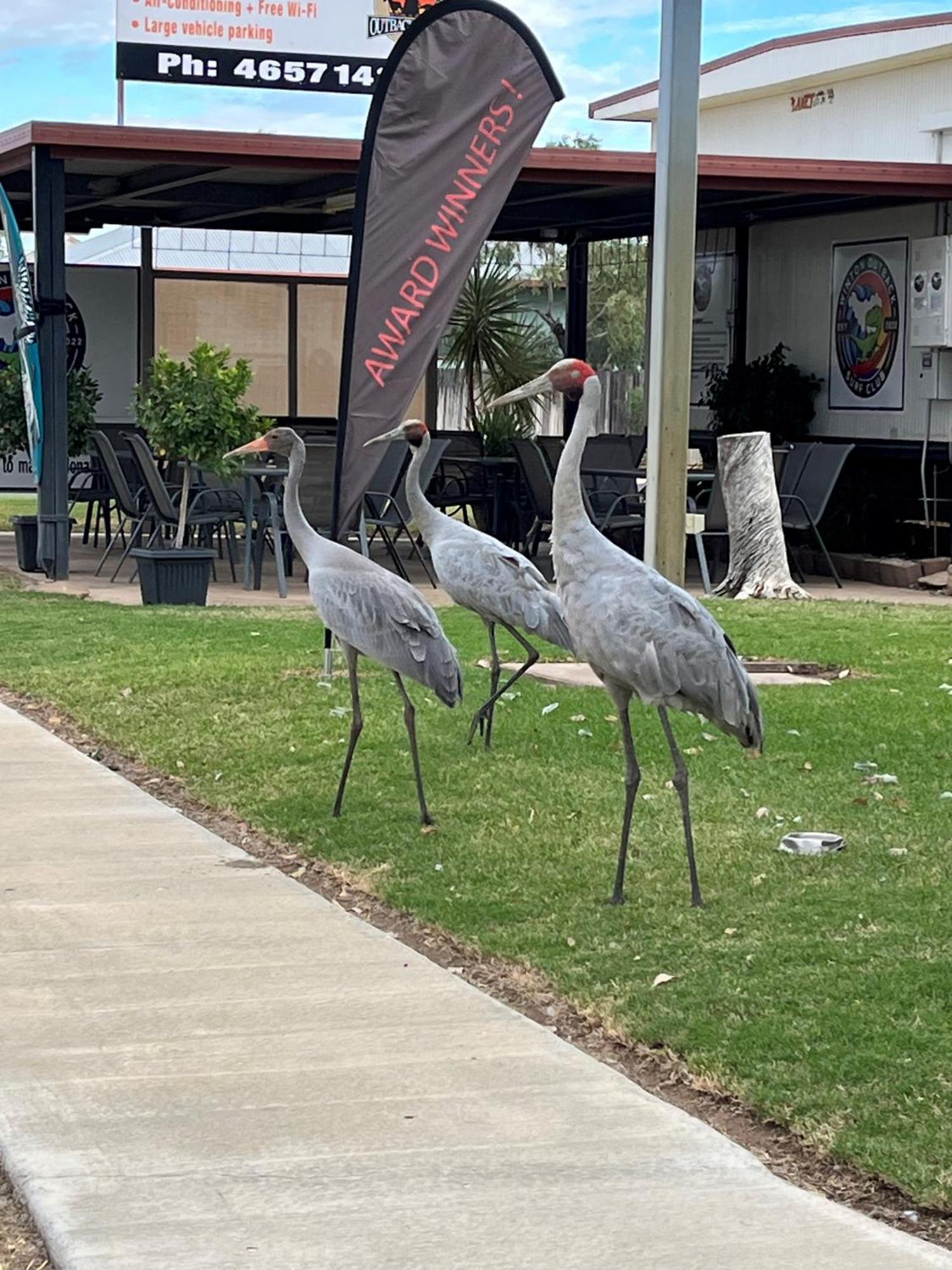 Winton Outback Motel Esterno foto