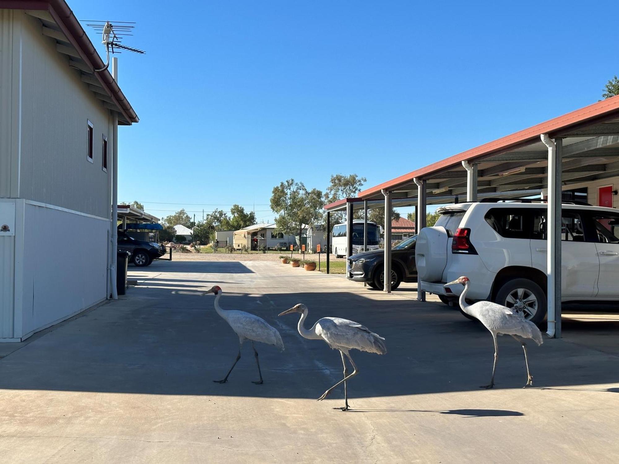 Winton Outback Motel Esterno foto